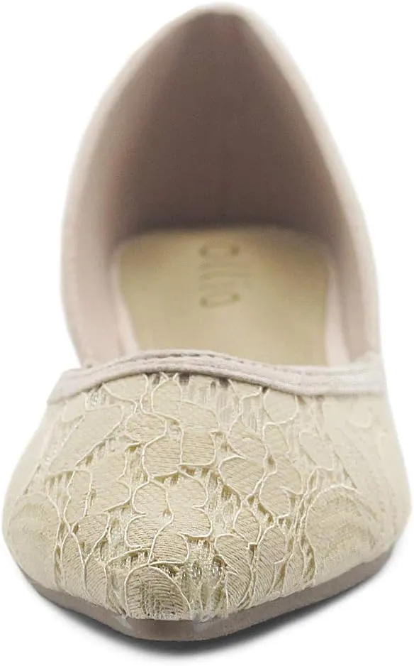 Ollio Women's Shoes Faux Suede Floral Mesh Lace Breathables Pointed Toe Ballet Flats F90